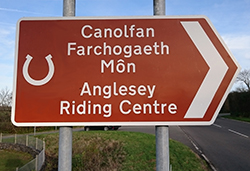 Anglesey Riding Centre