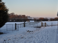 Snowy Fields