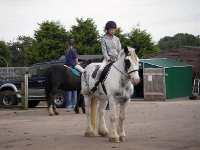 Young Horse Rider