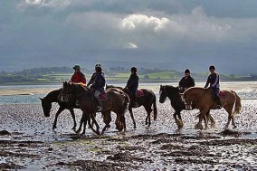 riders on beach