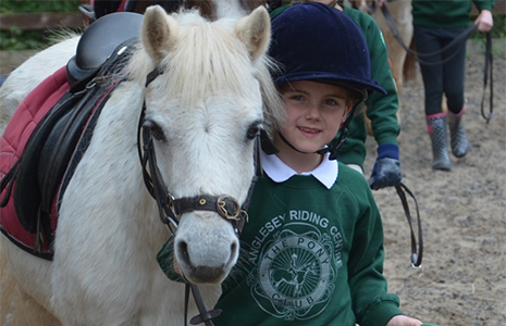 Anglesey Riding Centre