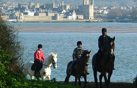 Anglesey Riding Centre