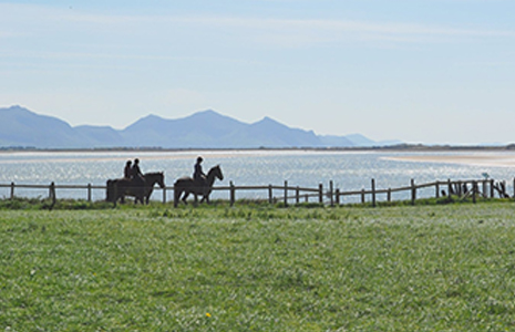 Anglesey Riding Centre